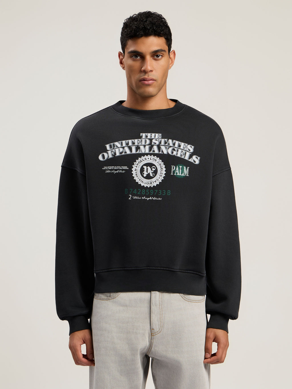 PALM ANGELS Dollar Loose Crew Sweatshirt VINTAGE BLACK - LIGHT GREY PMBA08JF25FLE002