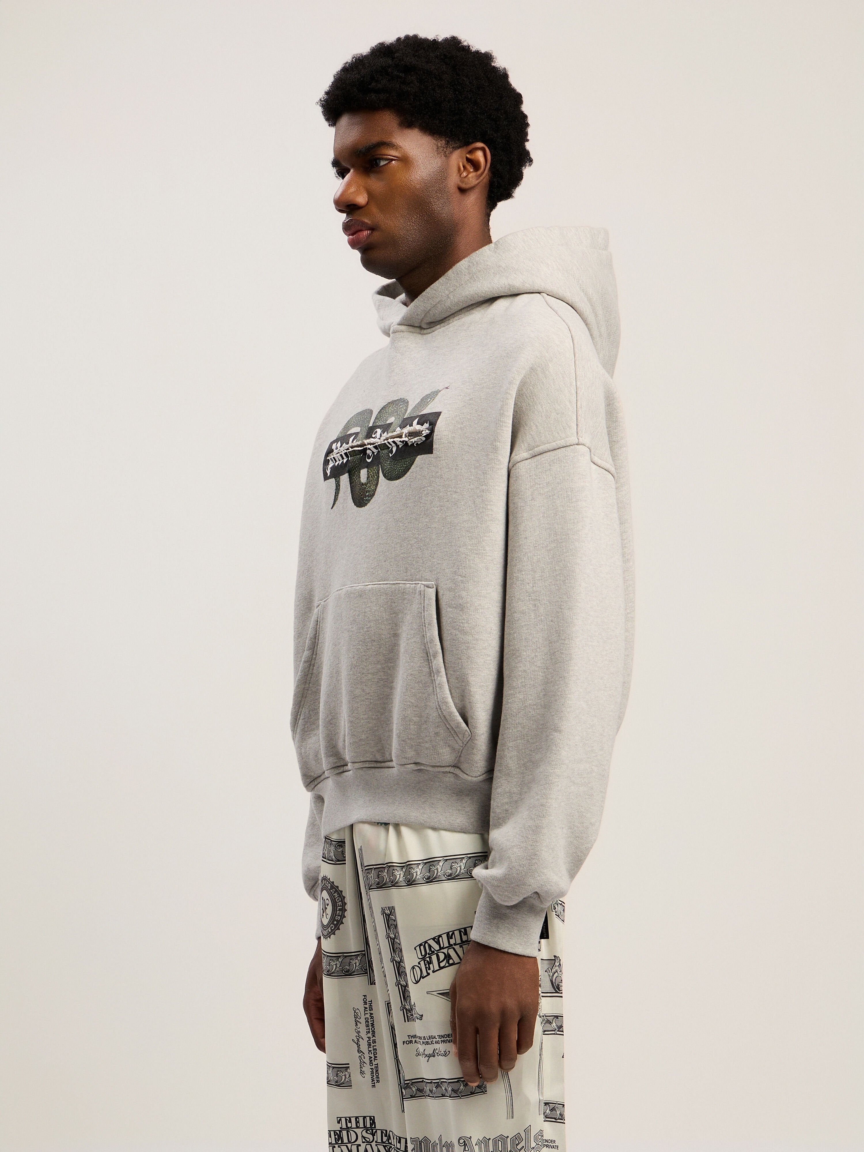 PALM ANGELS Snake Graphic Hoodie GREY MELANGE - GREEN PMBB17GF25FLE001