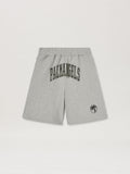 PALM ANGELS  M COLLEGE PALM SWEATSHORTS GREY MELANGE GREY MELANGE - BLACK PMCI028S25FLE001