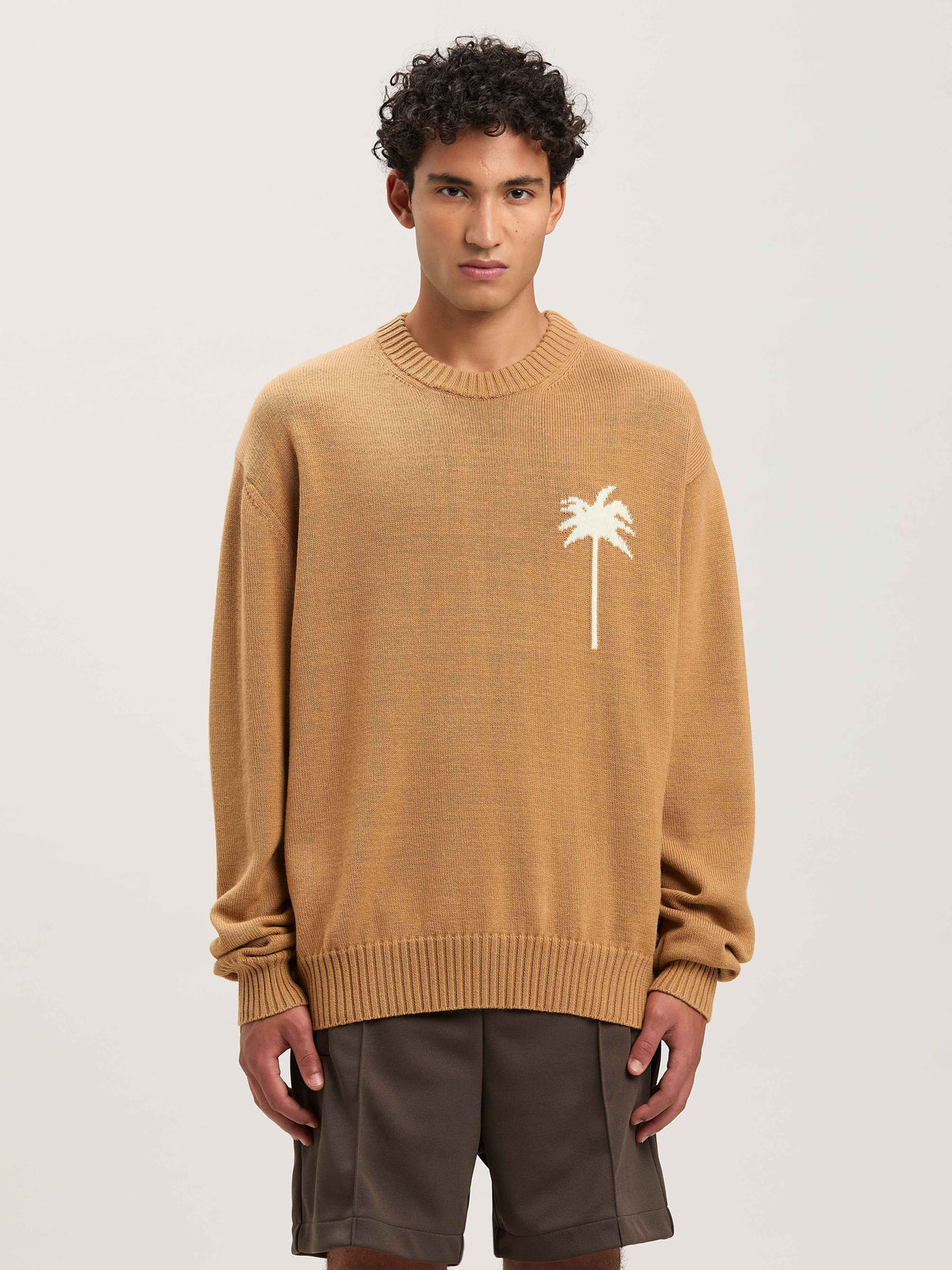 PALM ANGELS  BACK PALMS KNIT SWEATER BEIGE - OFF WHIT BEIGE - OFF WHITE PMHE080S25KNI001