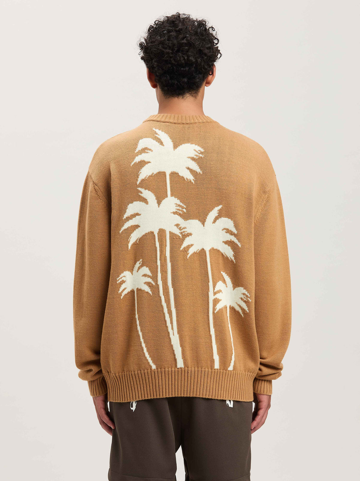 PALM ANGELS  BACK PALMS KNIT SWEATER BEIGE - OFF WHIT BEIGE - OFF WHITE PMHE080S25KNI001