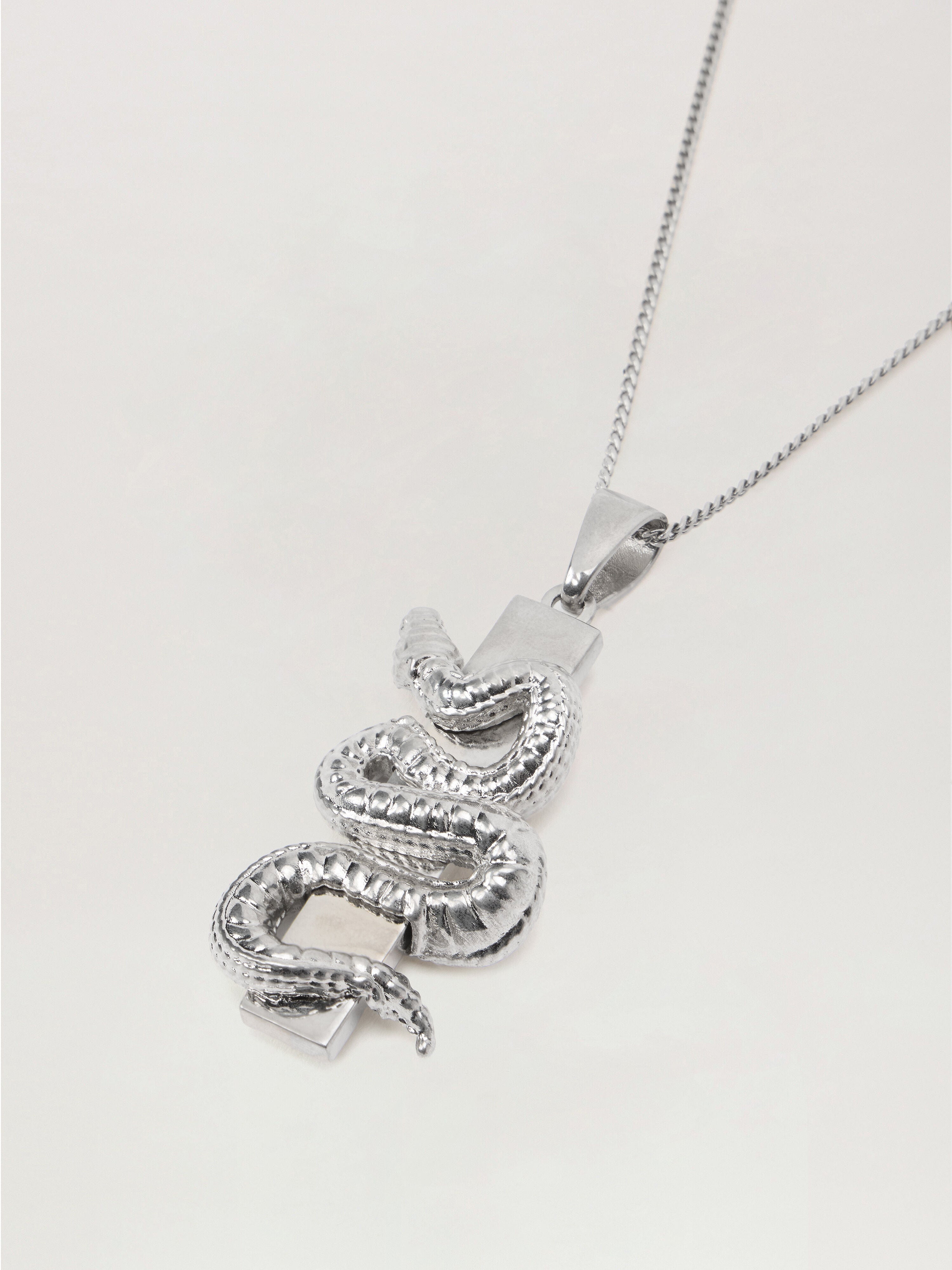 PALM ANGELS Snake Box Logo Necklace SILVER - SILVER PMOB12GF25MAT001